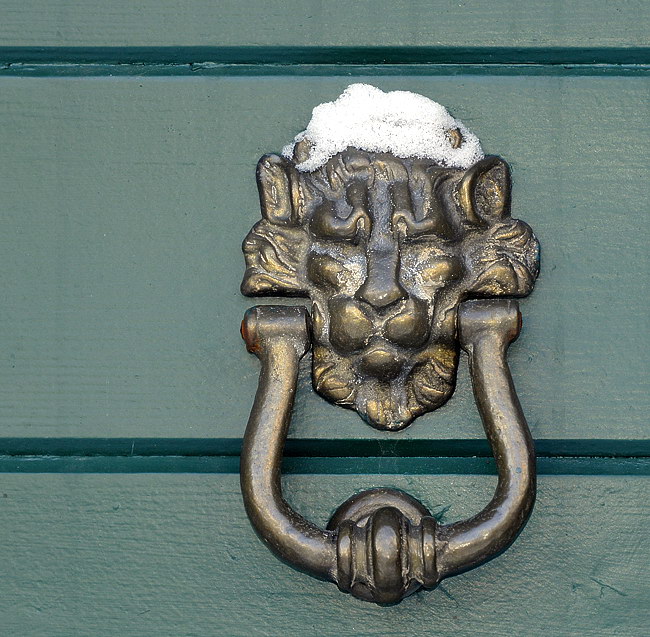 Winter TüreWinter _DDC9142 Kopie.jpg - Bergischer Löwe mit Hütchen